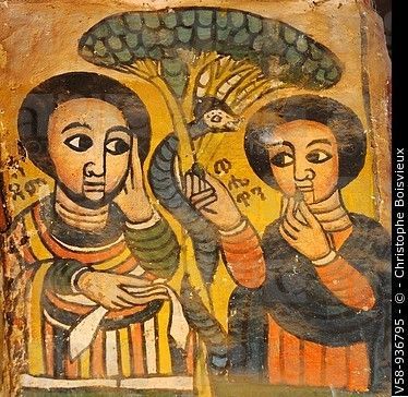 l'arbre de la connaissance