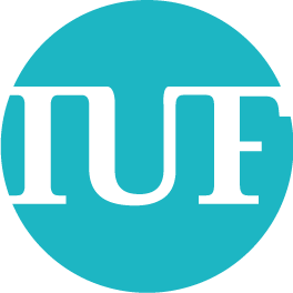 Logo Institut Universitaire de France